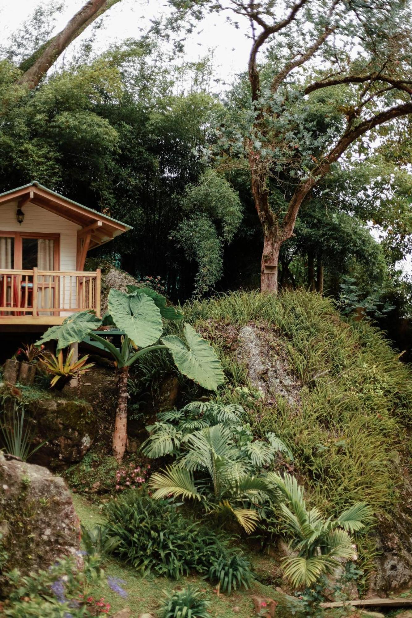 Hotel Cattaleya Eco Yumbo Exteriér fotografie